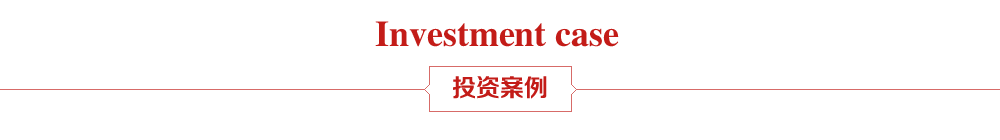 投资案例